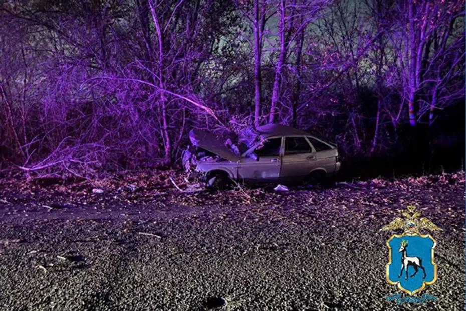 В Самаре вазовская легковушка врезалась в дерево, пострадали два человека