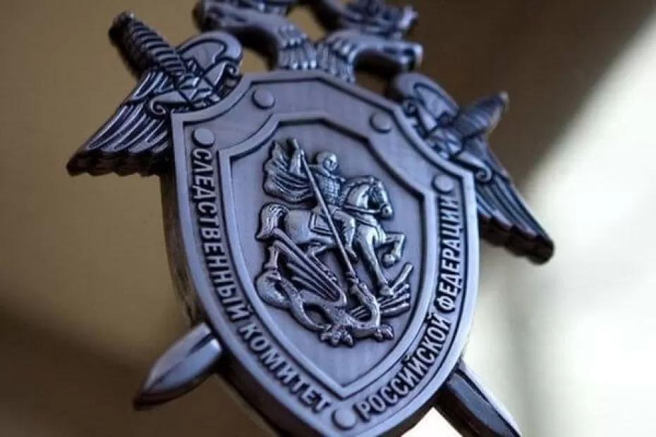 Глава СК РФ поручил повторно возбудить уголовное дело в отношении сестры арестованного мигранта, которая в Самаре напала на свидетеля с кулаками: что произошло Глава СК РФ поручил повторно возбудить уголовное дело в отношении сестры арестованного мигранта, которая в Самаре напала на свидетеля с кулаками: что произошло