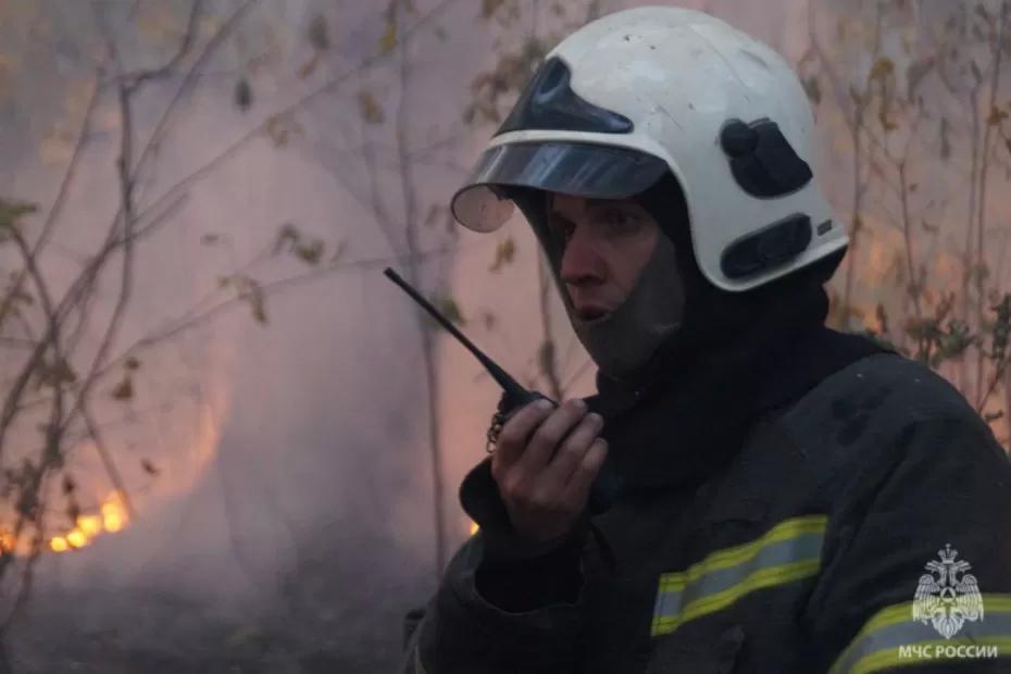 В Тольятти 8 человек тушили горящую траву за Московским проспектом - последние новости