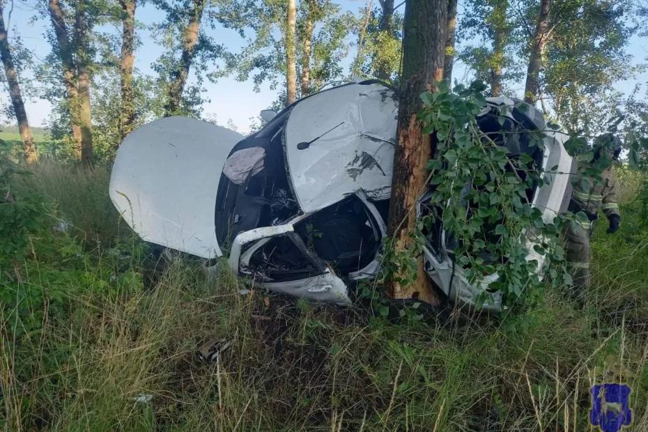 В Самарской области погиб водитель «Гранты», которая опрокинулась в кювете В Самарской области погиб водитель «Гранты», которая опрокинулась в кювете