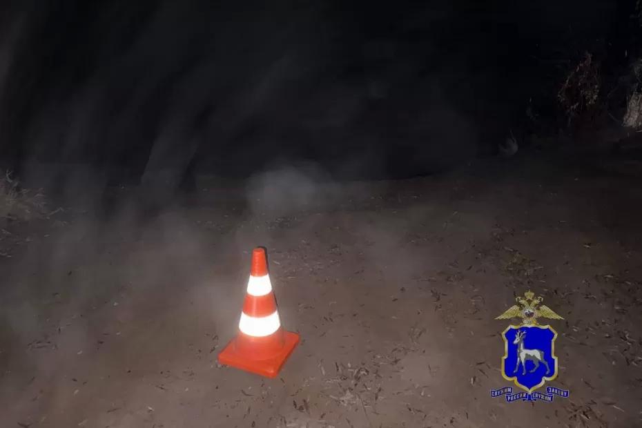 В Самарской области иномарка сбила своего водителя и съехала в реку - последние новости