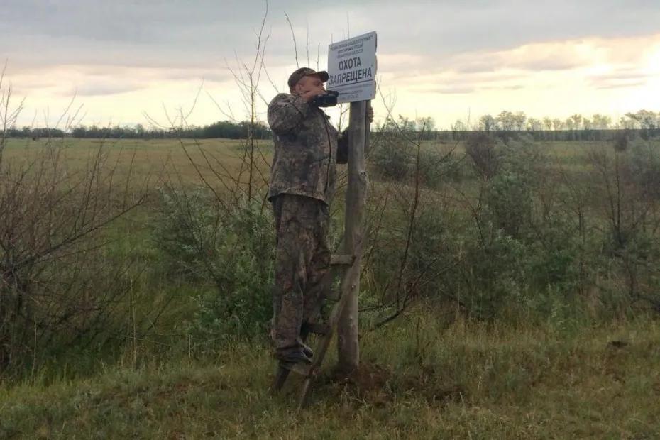 Житель Самарской области заплатил четверть миллиона рублей за убитого лося - фото