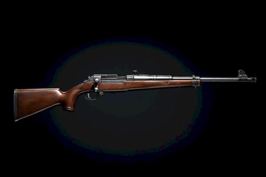 В Самарской области муж застрелил жену сквозь стену дома: что произошло