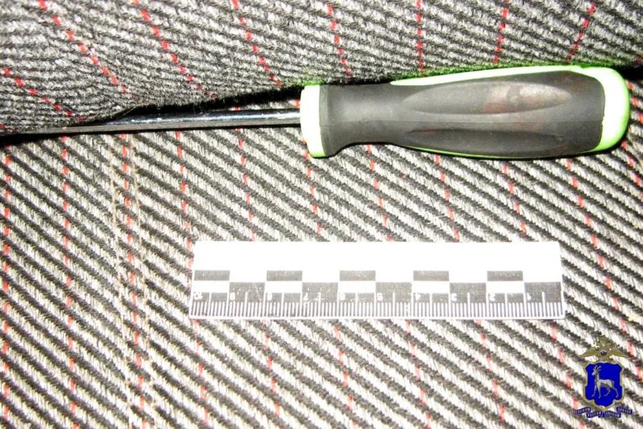 В Самарской области студент, который всегда носил с собой отвертку, напился, устал и угнал чужую машину - появились подробности