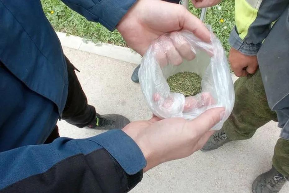 Житель Ульяновска отправился в Тольятти на автобусе, прихватив с собой запас марихуаны: что известно на данный момент