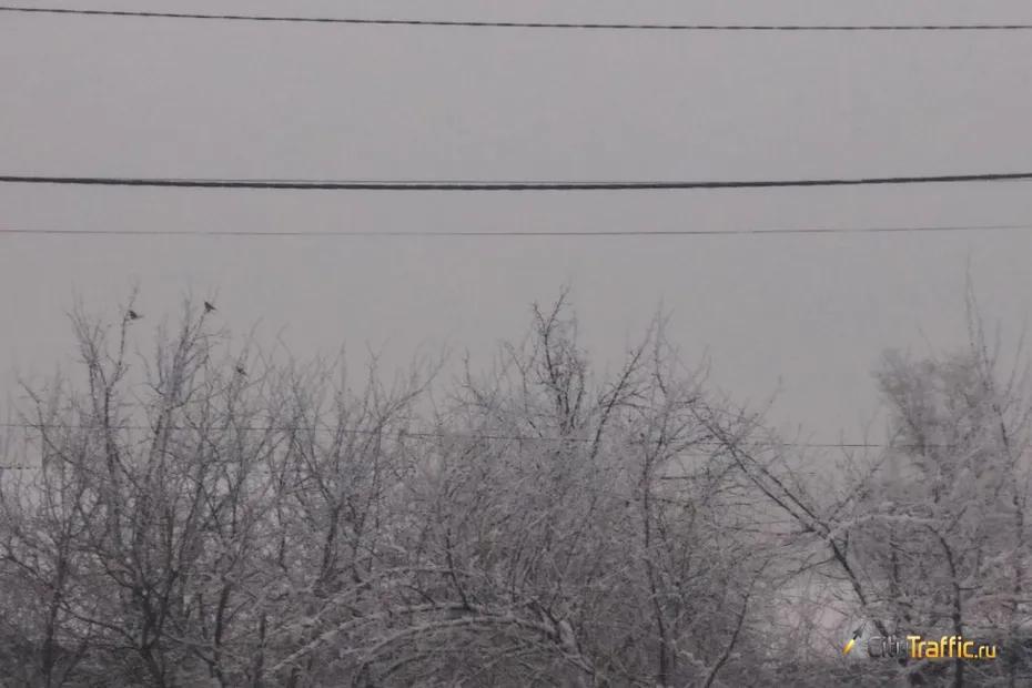 Самарская область утонет в тумане 15 марта