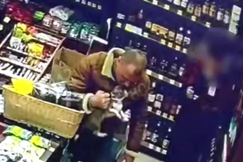 Полиция Тольятти выясняет, за что посетитель алкомаркета избил маленькую собаку - фото