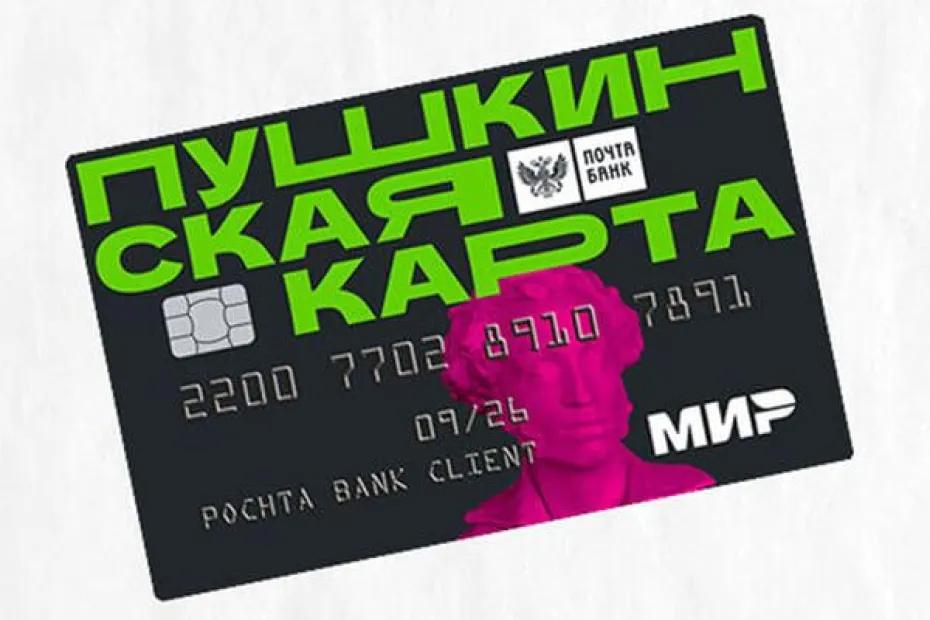 Жителя Тольятти и его знакомого отправили в колонию за мошенничество с &laquo;Пушкинскими картами&raquo; на 12 млн рублей - фото