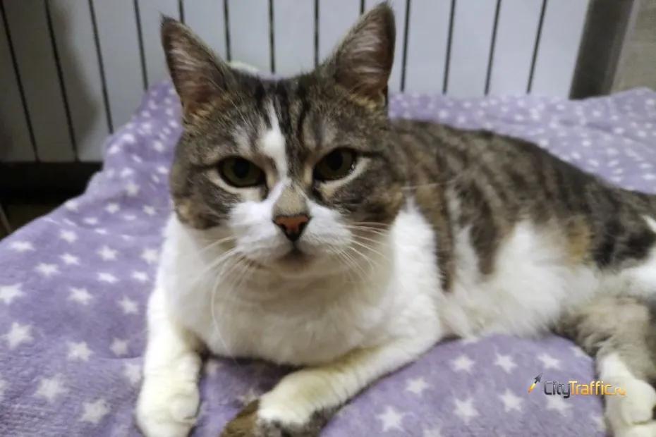 В Самарской области из-за похолодания в 3 городах и в 3 районах не стали отключать отопление