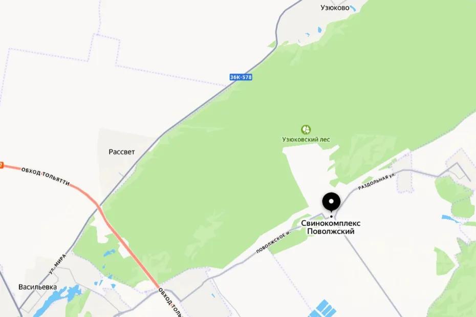 Жители Тольятти требуют остановить проектирование КПО на месте бывшего свинокоплекса в Поволжском