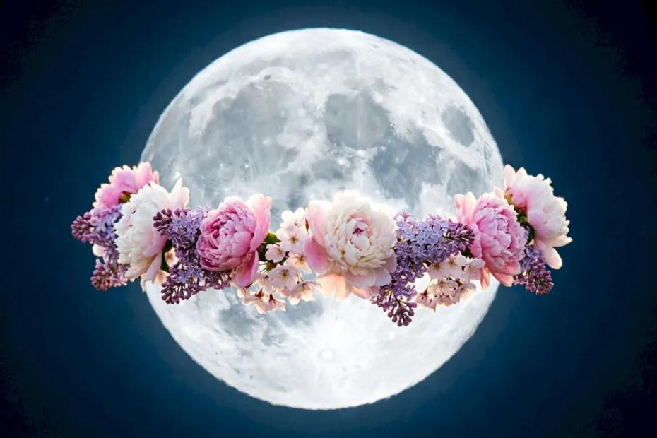 Жители Самарской области увидят Цветочную Луну 1 мая