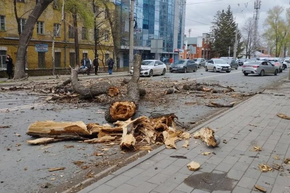 В Самаре 27 апреля шквалистый ветер снес рекламные щиты и повалил деревья: что известно на данный момент