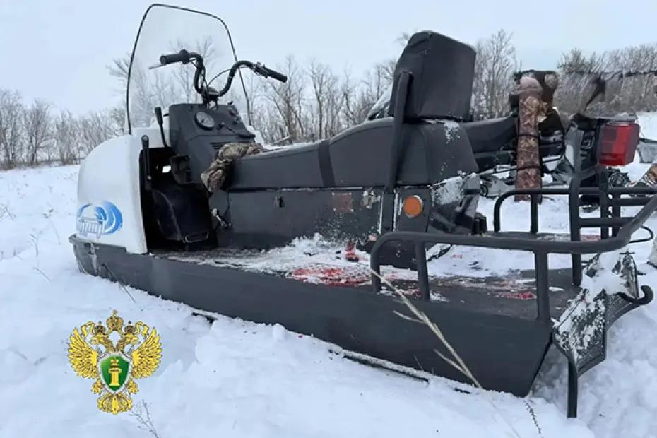 В Самарской области оштрафовали браконьера, убившего косулю: что произошло