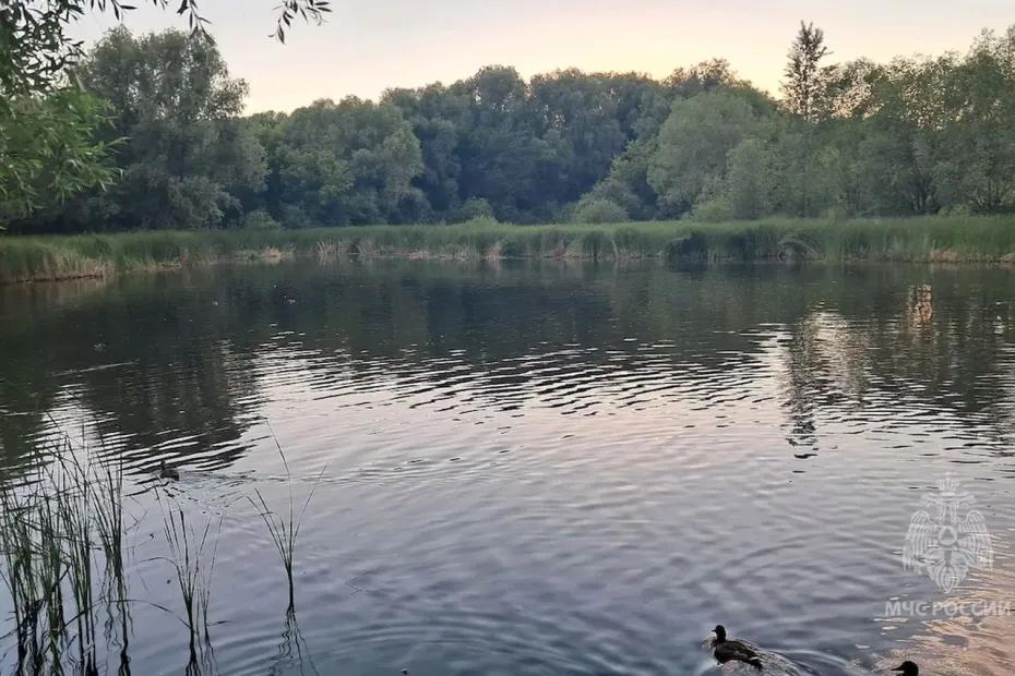 В Самарской области в пруду утонул мужчина: что произошло