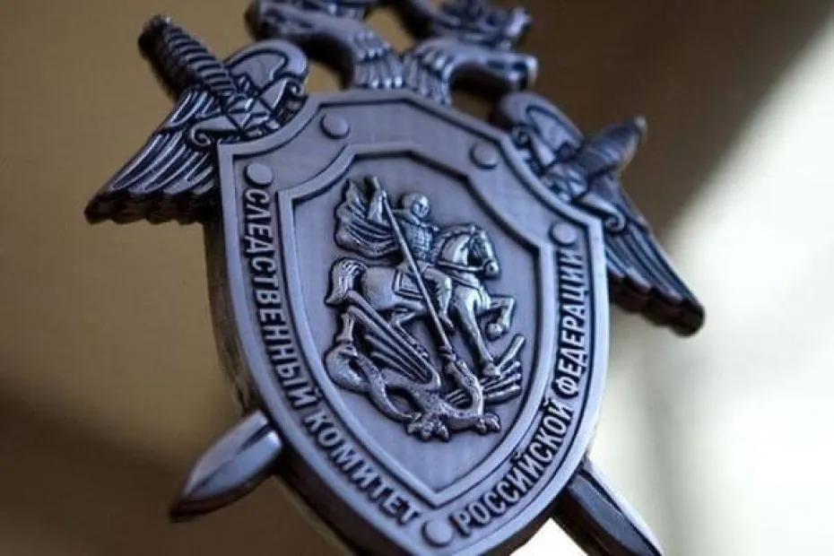 Глава СК России запросил доклад по делу антисоциальной многодетной матери в Самарской области: что произошло