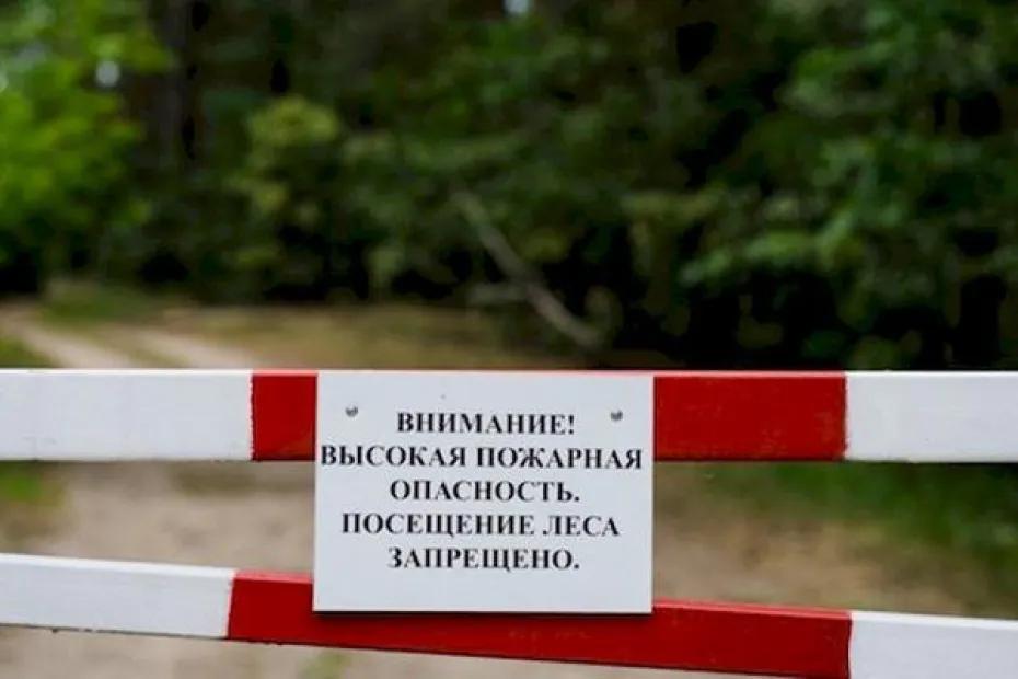 Высокая пожарная опасность лесов сохранится в Самарской области до 4 октября