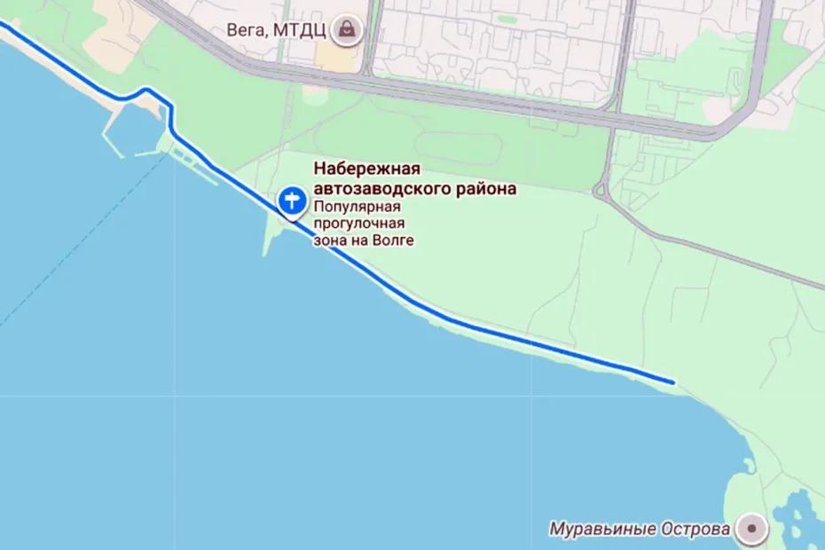 На набережной Автозаводского района Тольятти выявлен очаг бешенства: что известно на данный момент