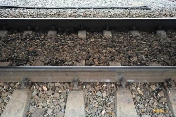 В Самарской области четыре &laquo;Ласточки&raquo; заменят обычными электричками 21, 22 и 23 февраля