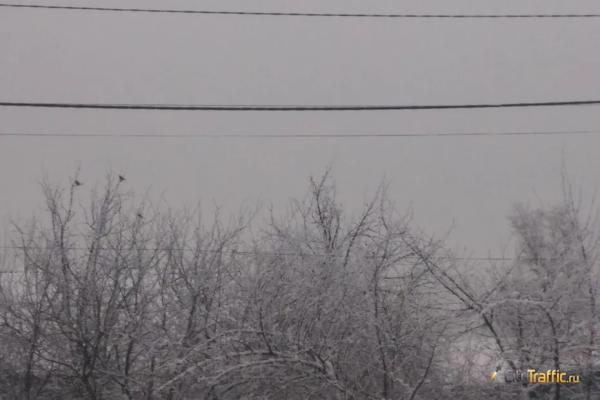 Самарская область утонет в тумане 15 марта