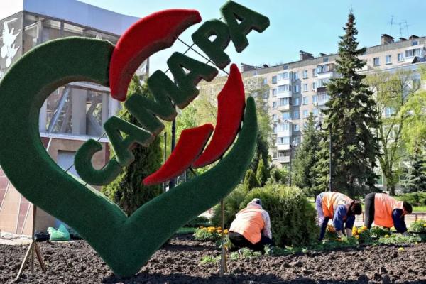 В Самаре до конца мая высадят 800 крупных деревьев