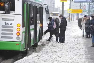 В Самаре в январе 2024 года было сорвано более 2 тысяч автобусных рейсов