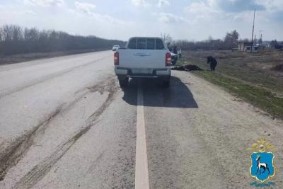 Пикап насмерть сбил двух пони на дороге между Самарой и Бугурусланом