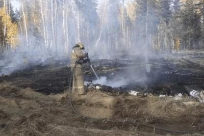 В Самарской области горит лес на площади 23 га