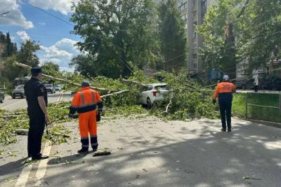 В Самаре на дорогу рухнуло дерево - пострадали два человека