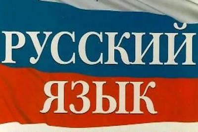 В Госдуме предложили отправлять на родину детей мигрантов, трижды проваливших тест на знание русского языка