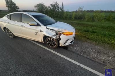 На трассе в Самарской области водитель автомобиля JAC сбил лося - фото