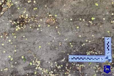 В Тольятти поймали 14-летнего угонщика автомобилей
