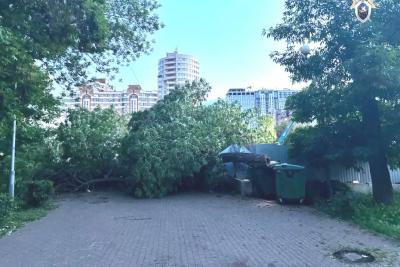 В Самаре дерево рухнуло на коляску с ребенком