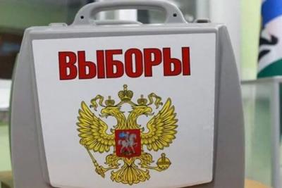 В Самарской области предлагают не проводить довыборы депутатов в год перед основным голосованием