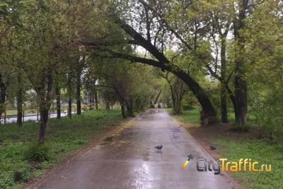 Рабочая неделя в Самарской области будет дождливой