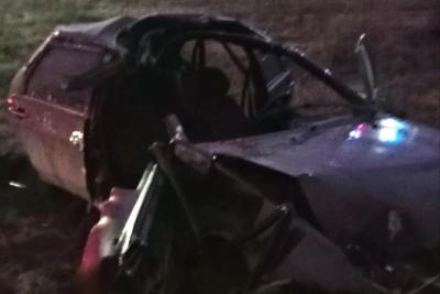 Под Самарой легковушка сбила лося и вылетела с дороги - последние новости