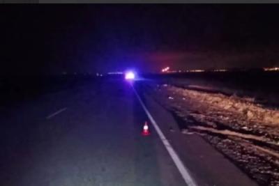 На трассе М-5 В Самарской области ночью КАМАЗ насмерть сбил человека