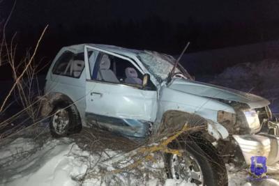 В Самарской области внедорожник вылетел с трассы, пострадали два человека - последние новости