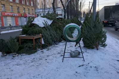 Жителям Самары не дали купить еще 80 &laquo;паленых&raquo; елок - фото