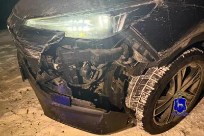 Водитель Changan остался с разбитым автомобилем после встречи с косулей на автодороге в Самарской области - появились подробности