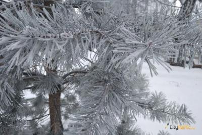 Первый день февраля в Самарской области покроется изморозью
