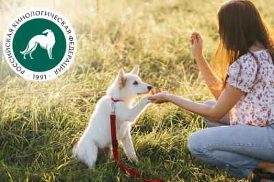 Кинологи рассказали, почему собаки живут в другом мире 