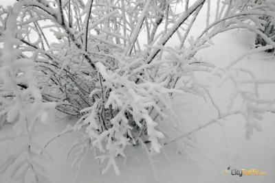 Сильный снегопад ожидается в Самарской области ночью и утром в понедельник