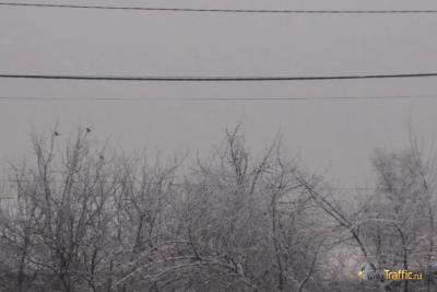 Самарская область утонет в тумане 15 марта