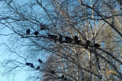 В Самарской области побит жаркий рекорд 30-летней давности