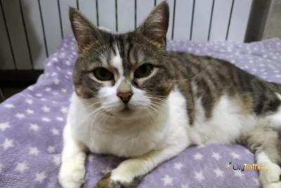 В Самарской области из-за похолодания в 3 городах и в 3 районах не стали отключать отопление