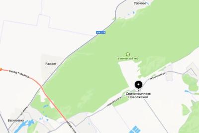 Жители Тольятти требуют остановить проектирование КПО на месте бывшего свинокоплекса в Поволжском