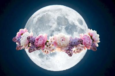 Жители Самарской области увидят Цветочную Луну 1 мая