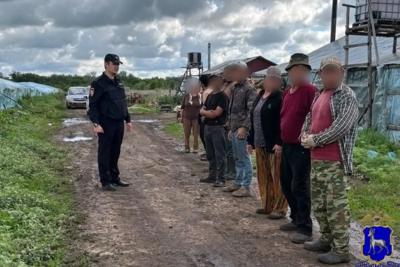 В теплицах Самарской области нашли 24 мигранта, которые незаконно выращивали овощи