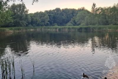 В Самарской области в пруду утонул мужчина: что произошло