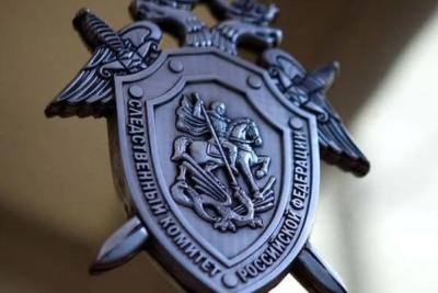 Глава СК России запросил доклад по делу антисоциальной многодетной матери в Самарской области: что произошло